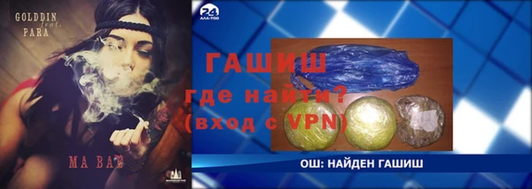 шишки Елизово
