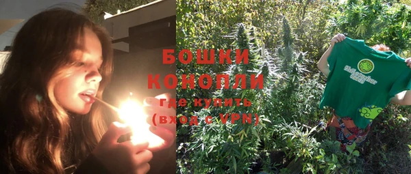 круглые Ельня