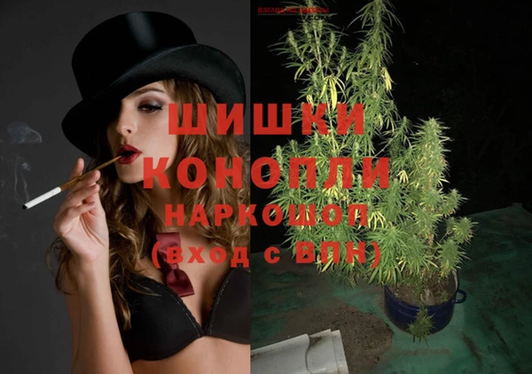 шишки Елизово