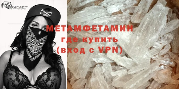 шишки Елизово