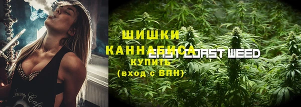 шишки Елизово