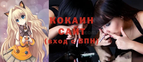 шишки Елизово