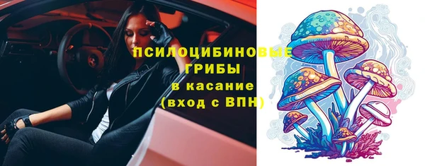 шишки Елизово