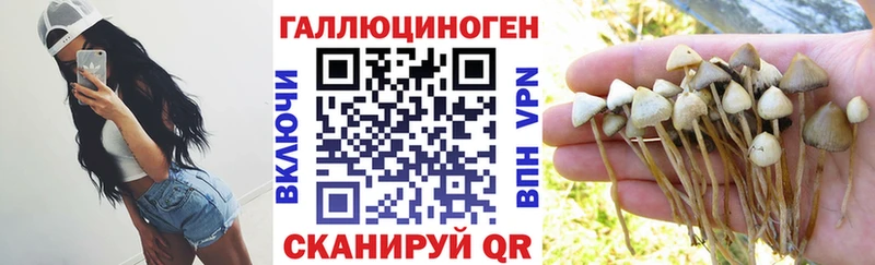 Галлюциногенные грибы Cubensis  Купить где  Медынь 