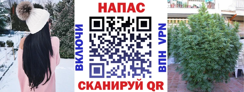 Канабис ГИДРОПОН  Купить где  Медынь 